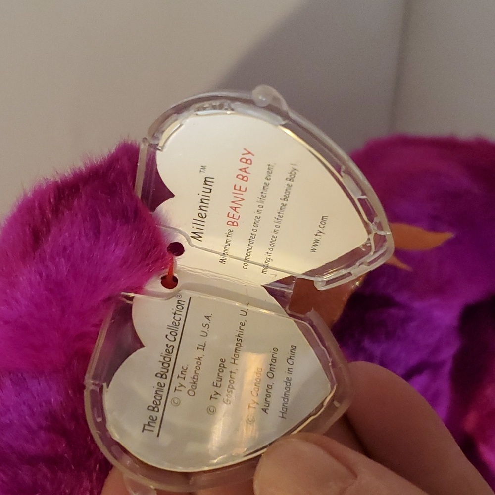 TY bear - Picture 2 of 4